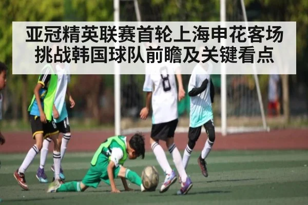 亚冠精英联赛首轮上海申花客场挑战韩国球队前瞻及关键看点（bob）