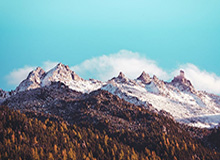 世界杯app下载-探访“零号病人”戈贝尔：如果能重来不会再摸麦克风