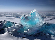 世界杯app下载-探访“零号病人”戈贝尔：如果能重来不会再摸麦克风